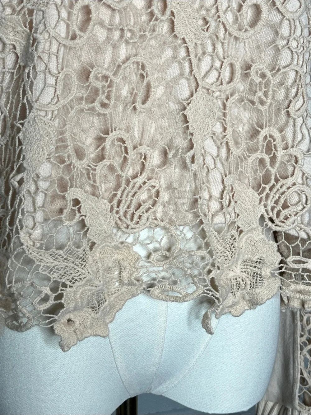 Free People Pretty Rad Champagne Crochet Open Back Lace Long-Sleeve Top - XS